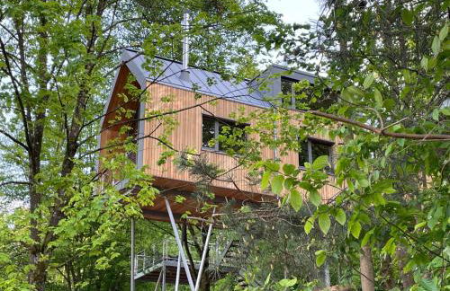 Baumwipfelhaus - Foto 14