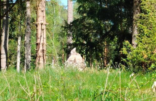 Leśna Chata kuracyjna nad rzeką z sauną w Borach Tucholskich - Foto 27