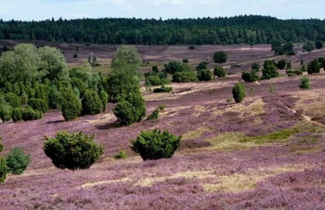 Amazing Holiday Home Near the Lake - Foto 16