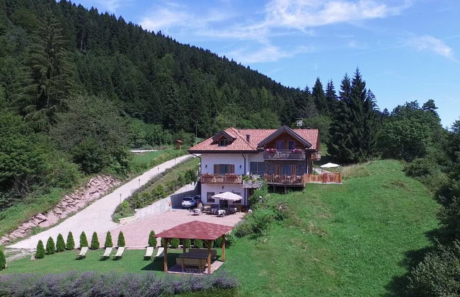 Agristurismo ai Castioni - Foto 46