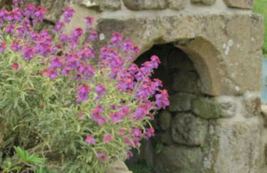 Ker Marine - Photo 24