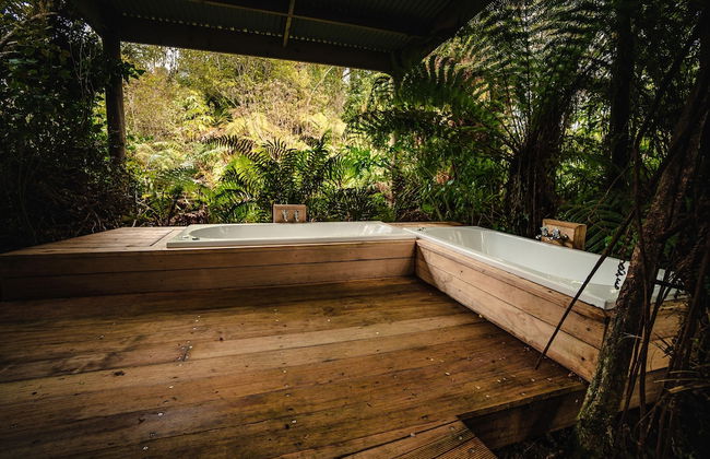 Franz Josef Treetops - Foto 22