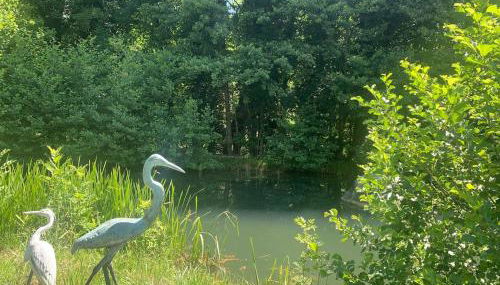 Chateau d 'Echenevex, Geneva - Foto 5