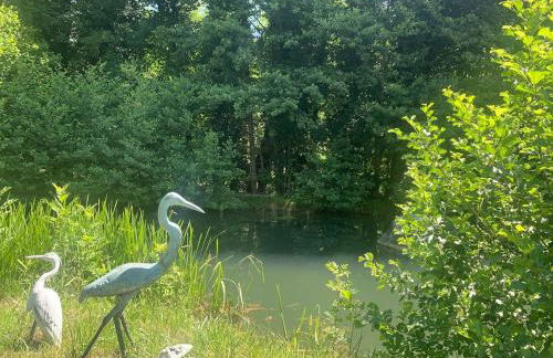 Chateau d 'Echenevex, Geneva - Foto 5