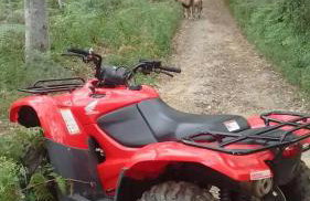 Bangalô - Sítio Cachoeiras do Caledônia - Foto 29