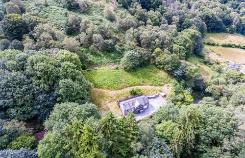 Hilltop Cottage/ Penrhiw - Foto 11