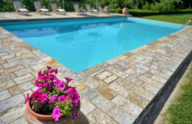 Col Di Forche - Foto 42