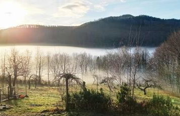 Osada Jelonki Wielka Puszcza - Foto 59