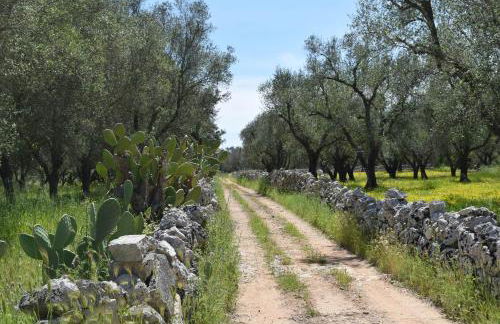 Villa Mios - Foto 51