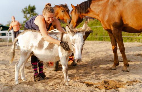 Achter de Höf Whg 2 - Foto 38