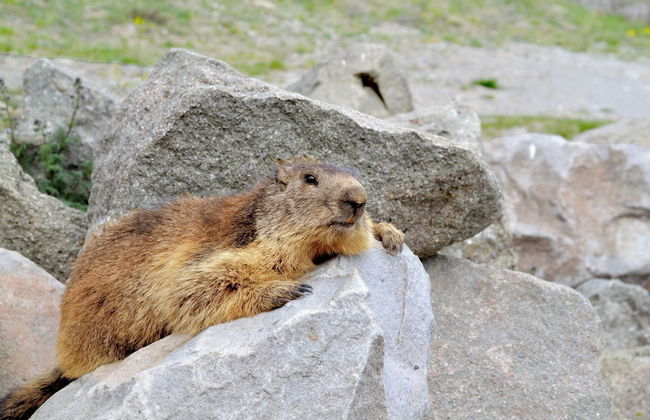 VVF Résidence Méribel Les 3 Vallées - Foto 52