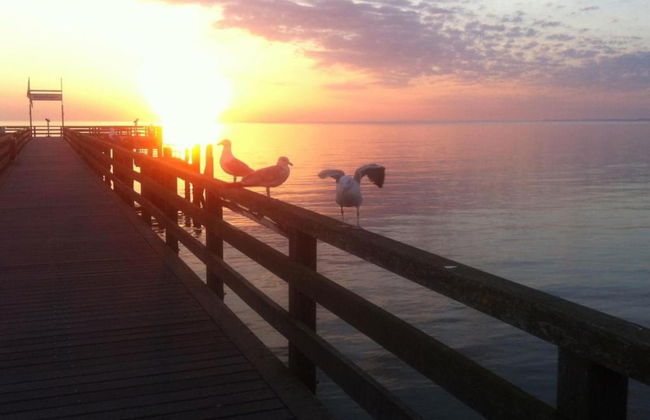 Ruhiges Appartement in Strandnaehe in Wohlenberg, Deutschland - Foto 60