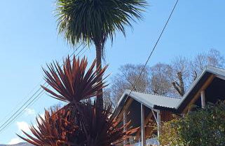 Carrick Chalets - Foto 33