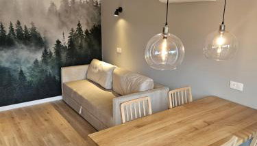 Apartamenty Zdrojowa 6 - Foto 5