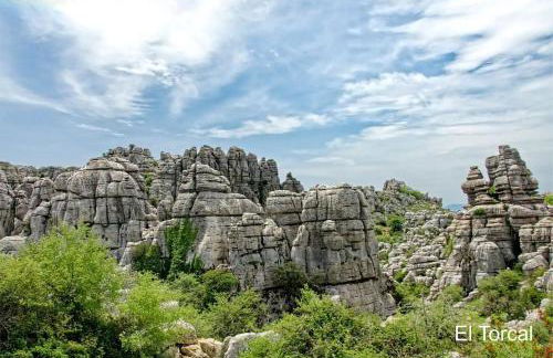 Casa Rural Finca Volando in the mountains of Málaga - Foto 74