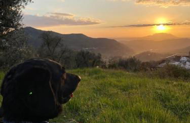 Agriturismo La Terrazza su Farfa - Foto 26