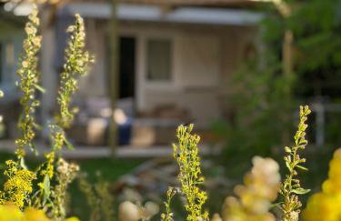 Harmony House - Photo 22