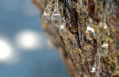 Goldfish Seaside Luxury Houses - Photo 50