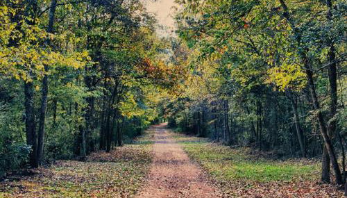 Serene and Modern 5 Location, Queen Bed, Parking - Foto 2