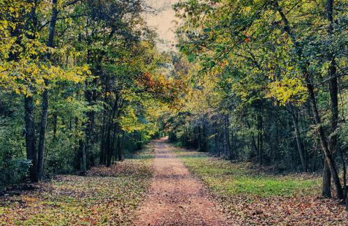 Serene and Modern 5 Location, Queen Bed, Parking - Foto 2