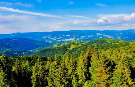 Hytta Eliaszówka - Foto 21