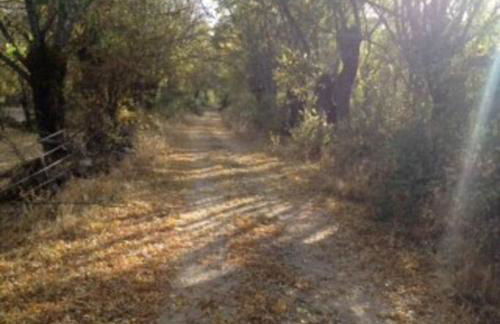 CASA RURAL LA FRESNEDA DE TENZUELA - Foto 10