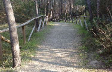 Sea cottage in pinewood - Foto 11