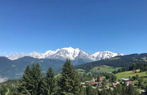 Le Loup du Vernay - Photo 13