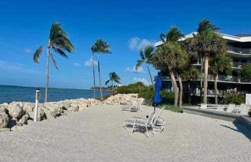 Paradise Found Cayo Hueso - Foto 33