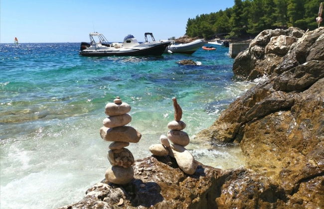 Dino - Gorgeous Garden - SA1 Zavala - Photo 24