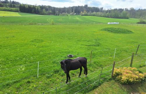 Gästehaus Plath - Foto 71