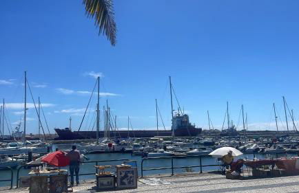 Patio da Foz - Appartement très accueillant centre-ville - Foto 69