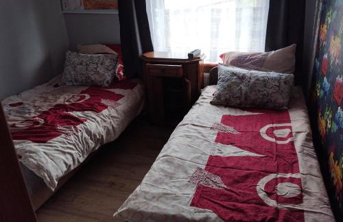 Green Hous agroturystyka - Photo 17