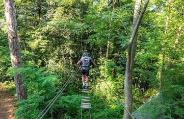 La maison des gaves - Calme, Agréable, Local vélo - Foto 61
