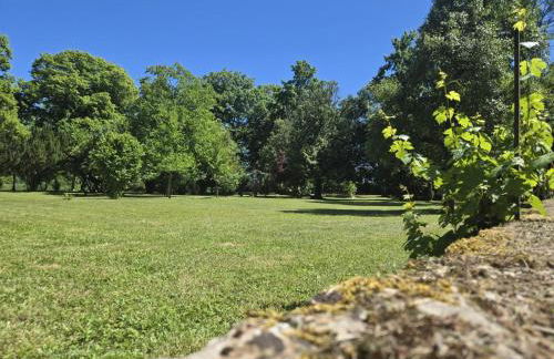 Gîte de Charme à Souvigny : Histoire, Nature & Sérénité - FR-1-489-581 - Foto 15