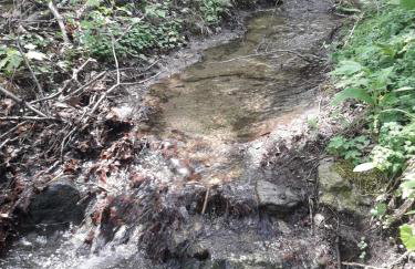 Apartament 59 , ranczoturystyka Bielawa Sudety - Foto 42