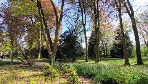 Mit Blick in den Emsseepark - Foto 3, Garden, Garden view