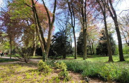 Mit Blick in den Emsseepark - Foto 3