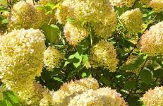 Domek w Karkonoszach - Foto 55