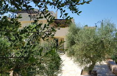 Tenuta Serra Peccatori - Foto 16