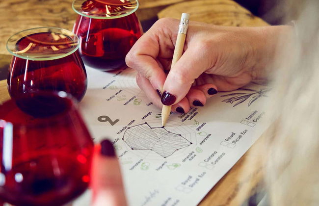 Visita ao lagar Oleícola Jaén com degustação de azeite - Foto 13