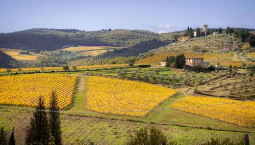 Castello Vicchiomaggio - Foto 4