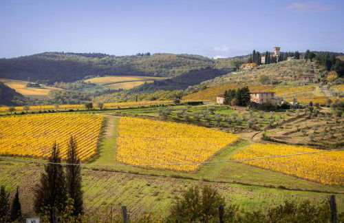 Castello Vicchiomaggio - Foto 4