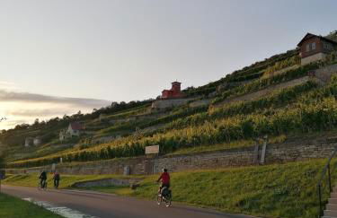 Weinberghaus - Wohnen im Weinberg in der Toskana des Nordens - Foto 29
