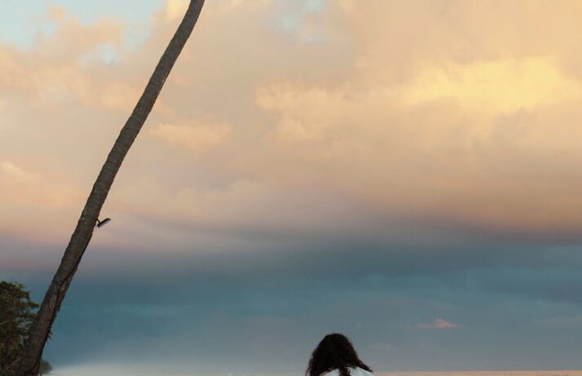 Beautiful Villa At Peaceful Beach Near Cabarete! - Foto 11