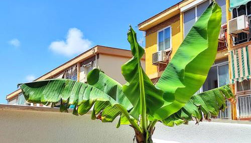 Manuela Nogales Apartments! - Photo 5