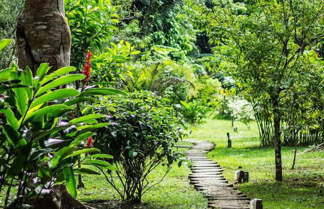 Pokakempi Tours - Foto 39