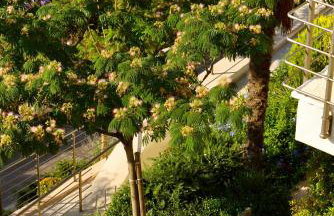 Prima Vista Beachfront Boutique Hotel - Foto 38