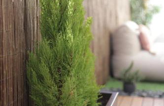 Peniche Supertubos Terrace - Foto 13