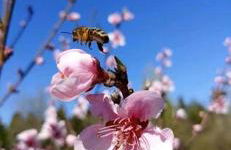 Tranquil Cabin with Hot Tub & Creek Views Near Bass Pro, Kodak Tennessee - Foto 9